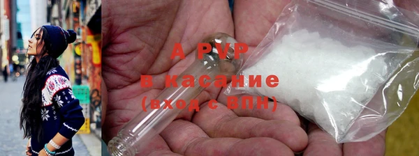 сатива Вуктыл