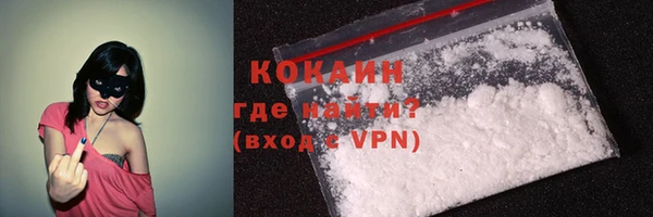 прущие грибы Всеволожск